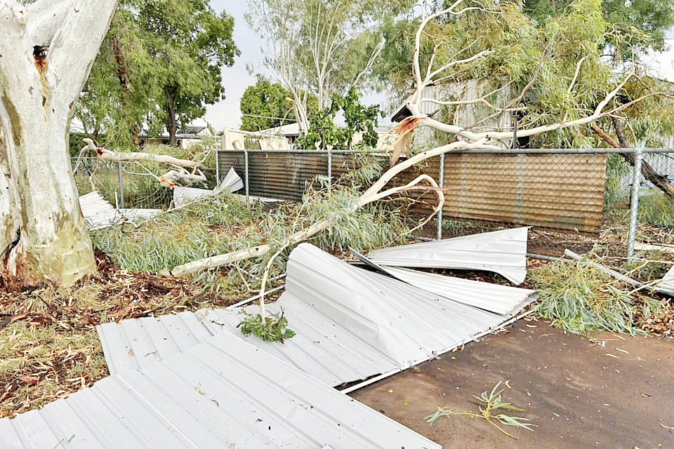 Hundreds of trees and branches were felled during the short but severe storm.