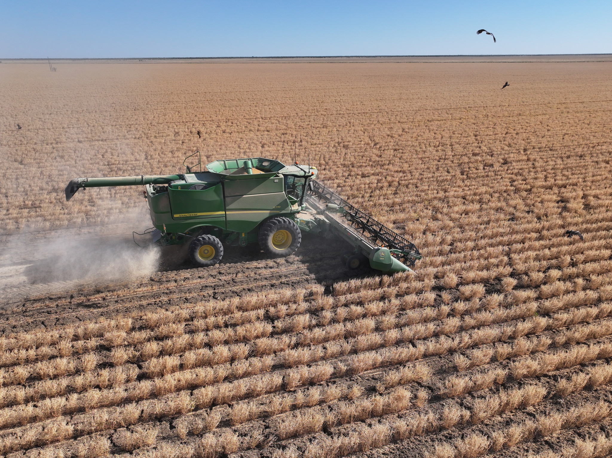 It hasn’t been all smooth sailing for the chickpea crop, but the profits speak for themselves.