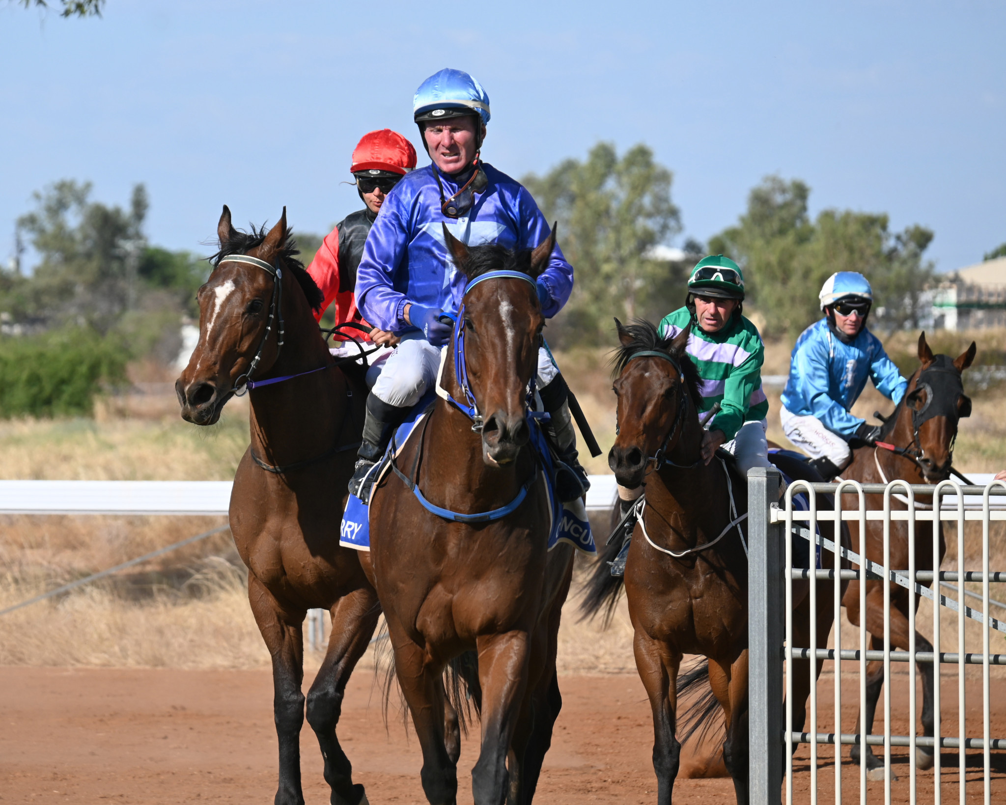 Hamblin has won races on Cloncurry Cup day in the past two years.