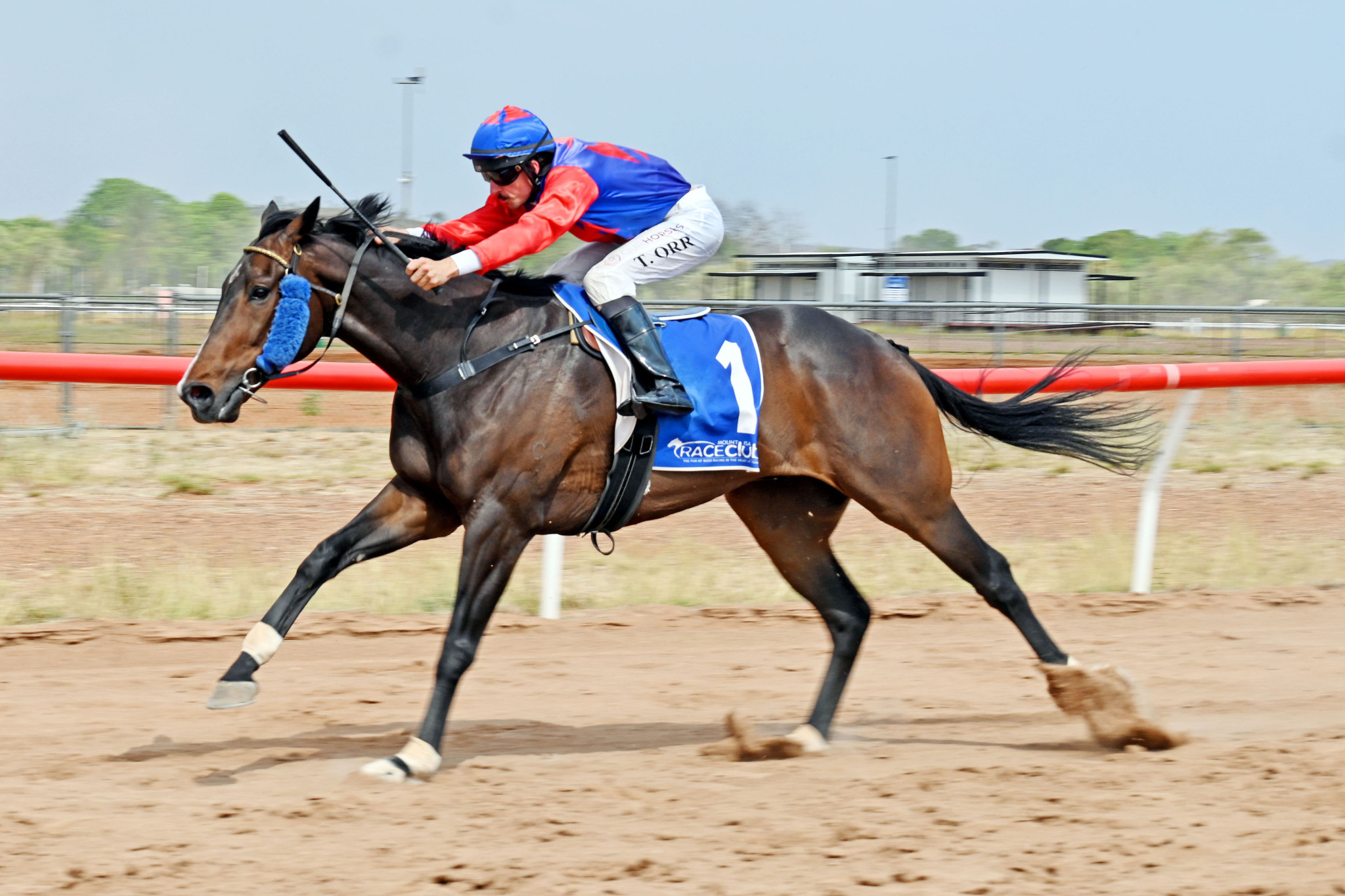 Metal Bar, the North West’s best horse in 2023, has finally returned to his best form for trainer Denise Ballard after struggling with an unusual leg issue this year. Tom Orr won his second race on the star galloper on Monday.