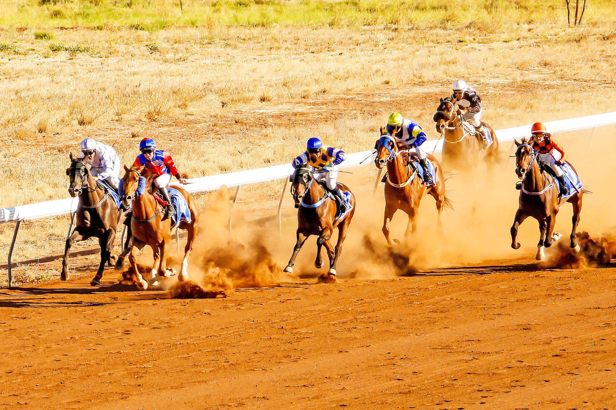 Capiteel emerges in front down the home straight at Schumacher Park.