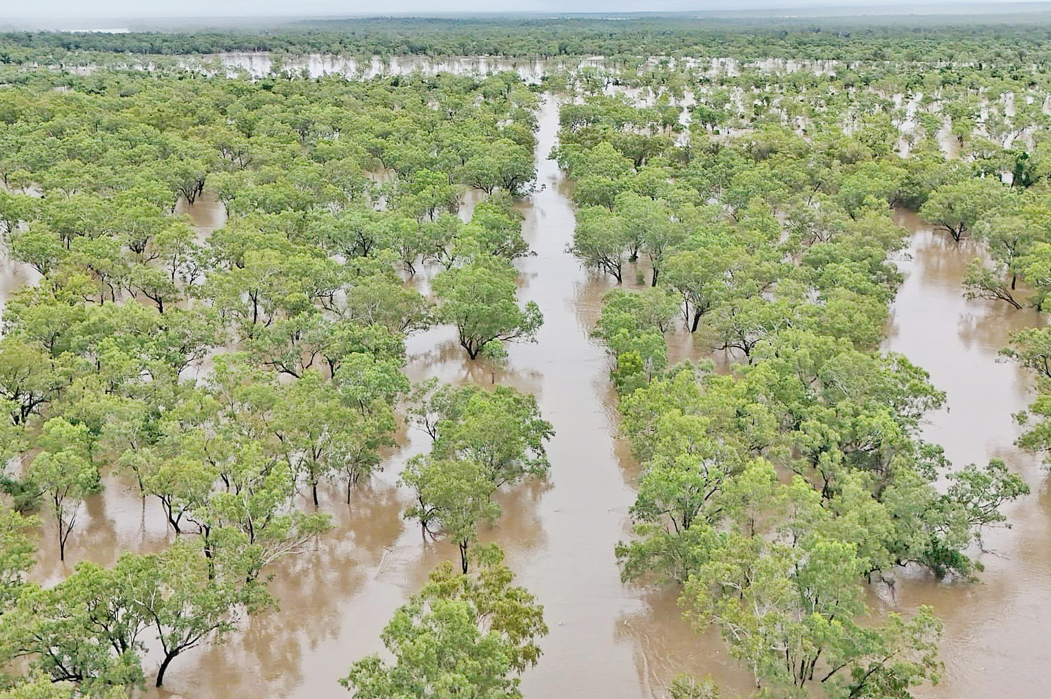 A drone shot of Fletcher Creek on the Gregory Development Road.