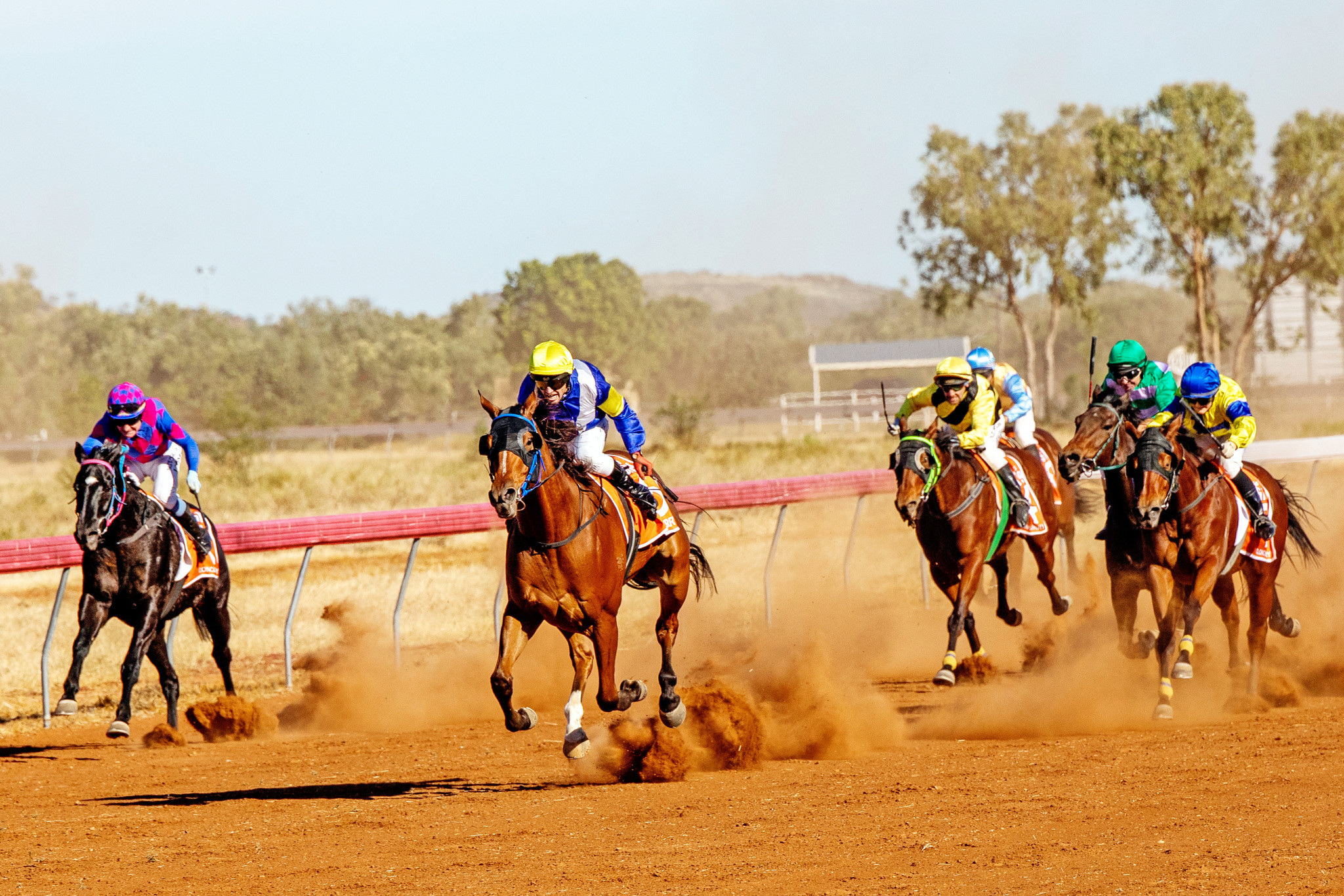 Mr Metrics (centre) was a big winner of the Battle of the Bush heat in Cloncurry on May 31. This Saturday, he can win $116,000 for trainer Shryn Royes.