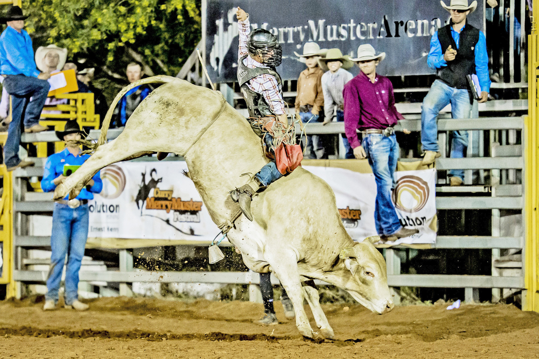 Joe Down and ‘Wicked Rhythm’ scored 85 points to win the Open Bull Ride at last year’s Curry Merry Muster rodeo.