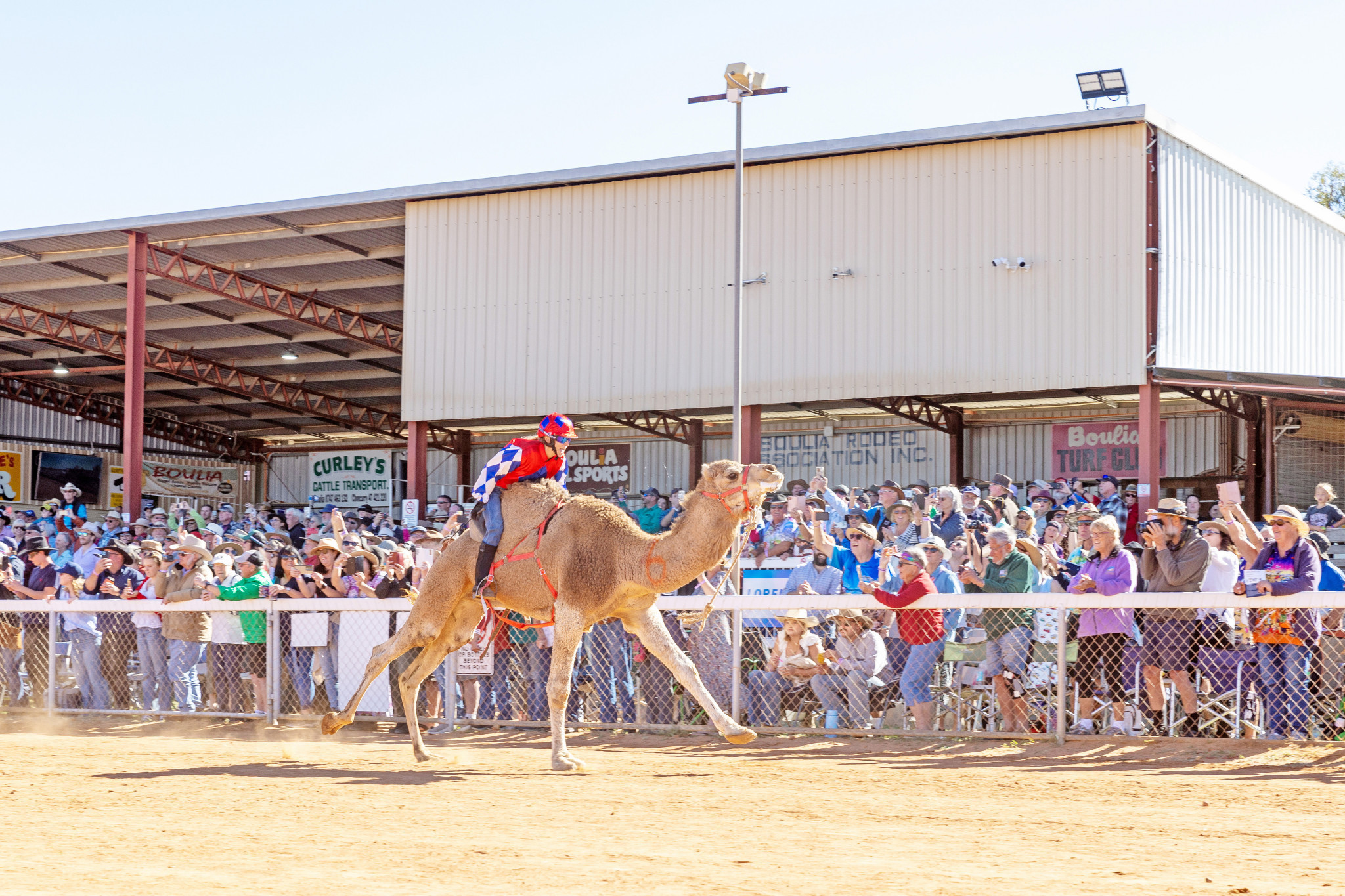 Massive crowds turn up to the Boulia Camel Races each year, but in 1997 when the first event was staged, only a few hundred people came to the Outback event.