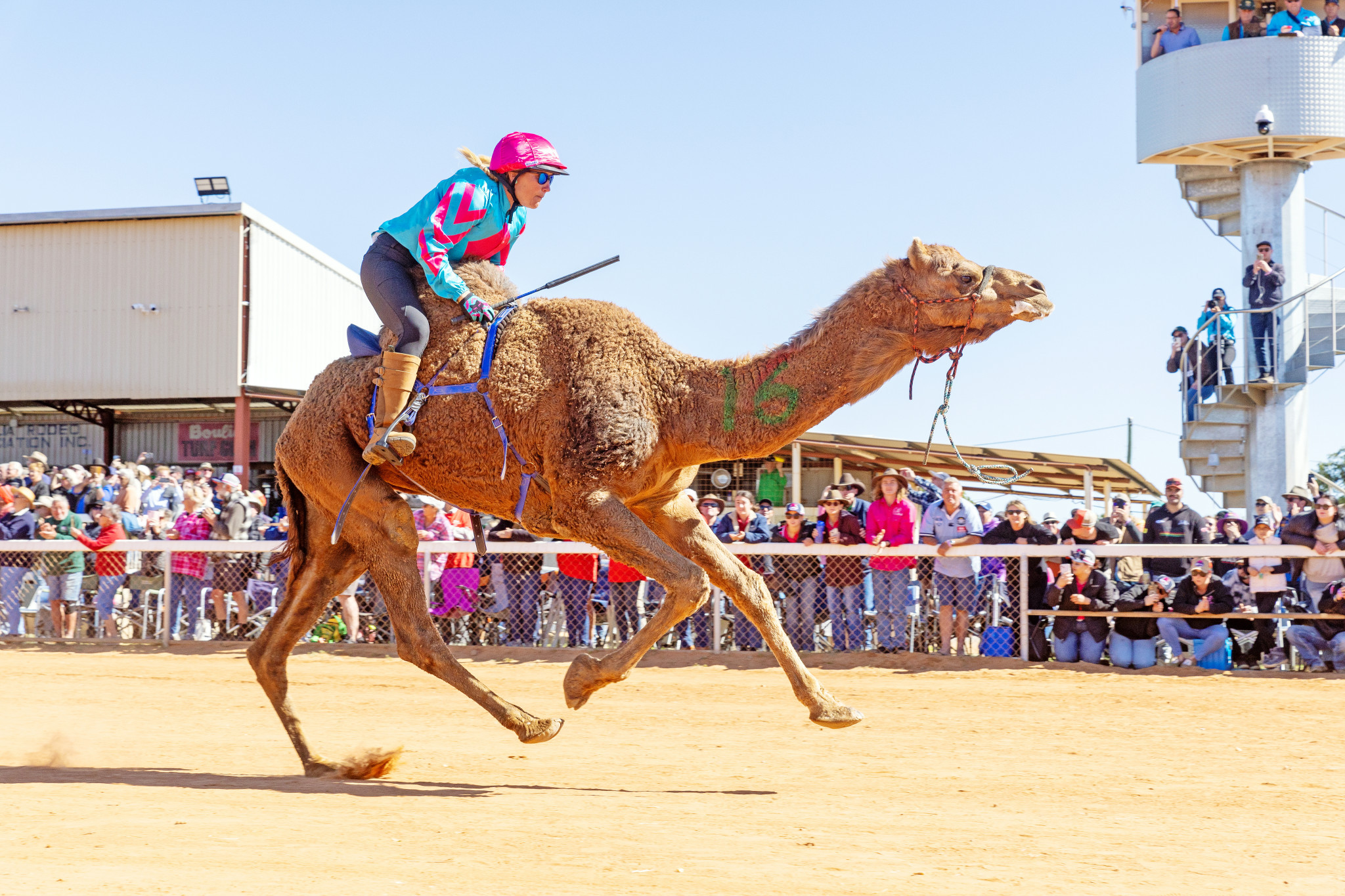 Thousands of people are expected to take to the Boulia racecourse this weekend for the running of the annual Boulia Camel Races. Picture: MATT WILLIAMS