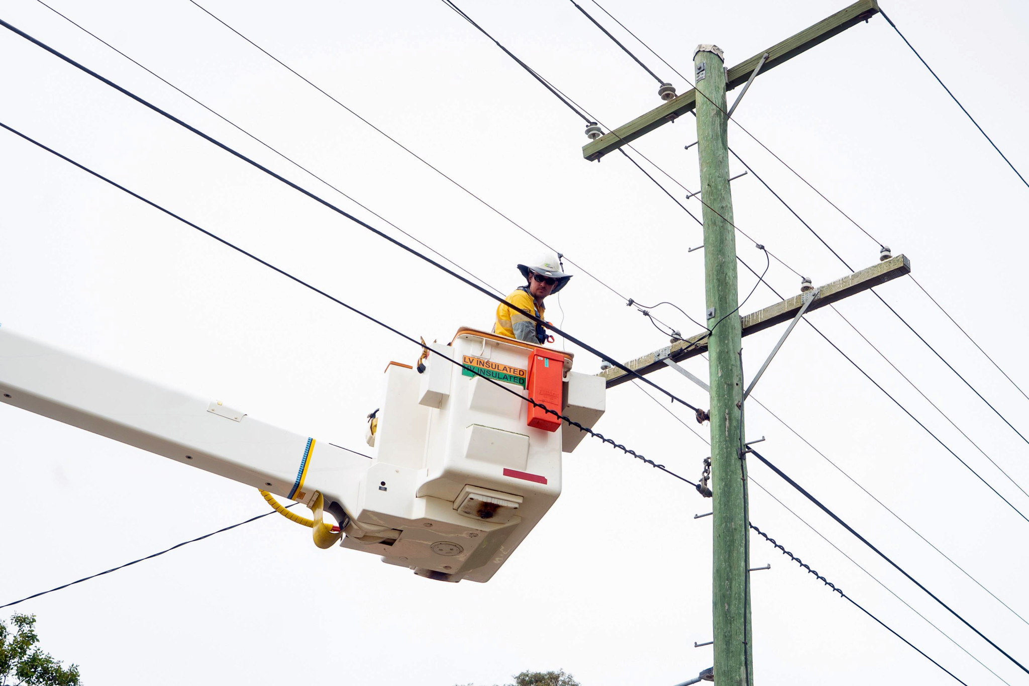 Ergon Energy power outages leave Mount Isa residents frustrated - feature photo