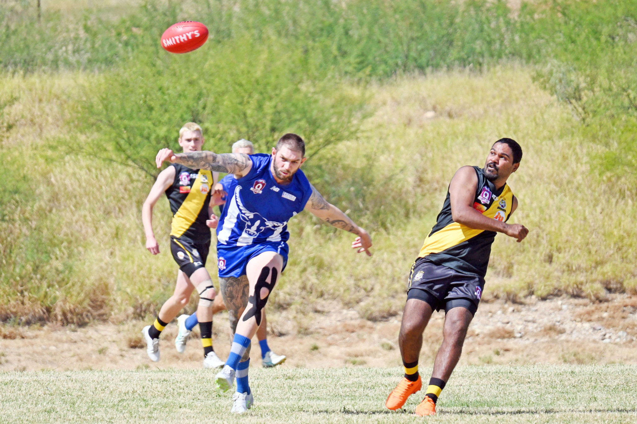 Buffs proved too good for Tigers in the season opener, winning by 55 points.