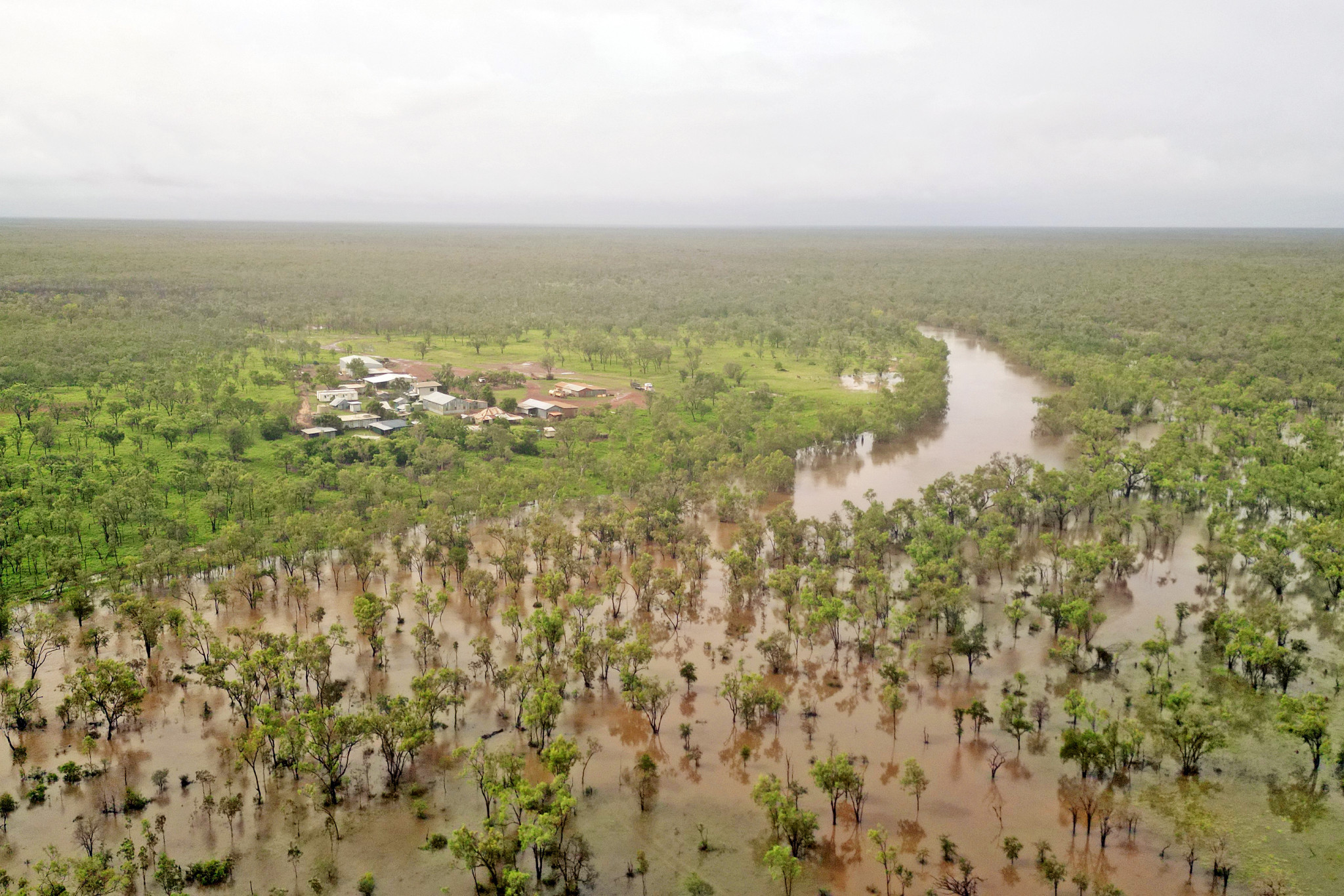 Westmoreland Station received almost two metres of rain in 2024, setting a new record for the cattle property.