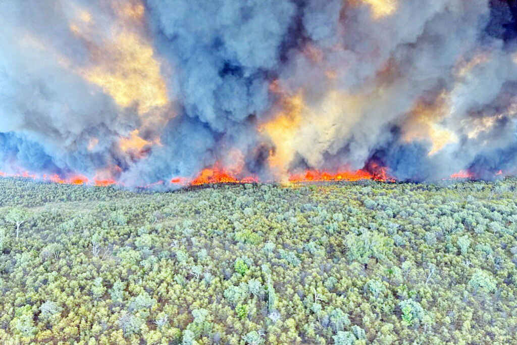 Thick vegetation, a result of consecutive good wet seasons and a reduction in cattle numbers, are providing heavy fuel loads for fires throughout the North West, causing headaches for landowners and emergency services.