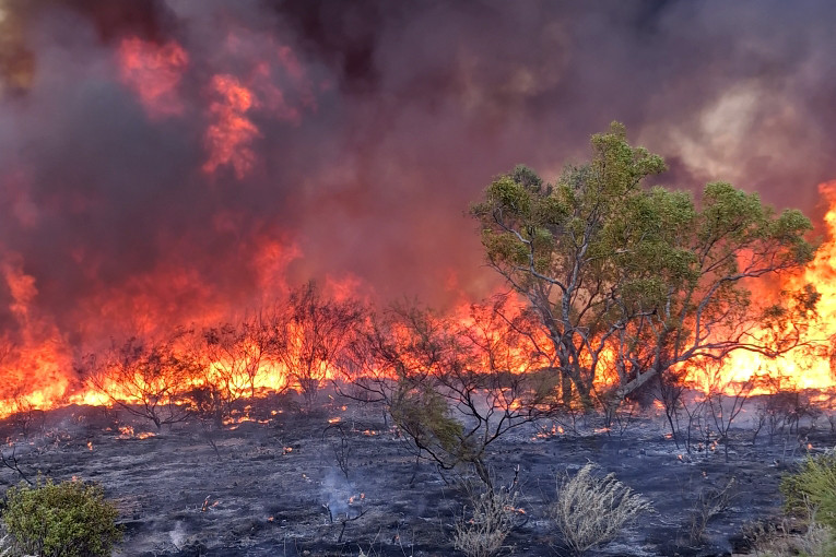 Duchess publicans Fleur Brown and Mick were focused on battling fires last week that came within 500 metres of their business.